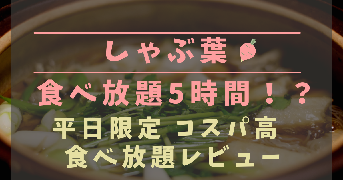 【しゃぶ葉】平日ランチ無制限の食べ放題レビュー！何皿食べられた？