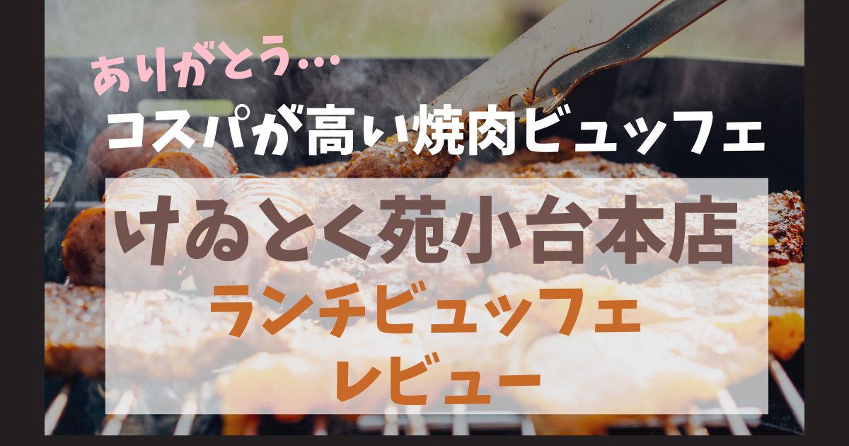 【小平】けゐとく苑の本格焼肉ランチバイキングレビュー！(10/15閉店)