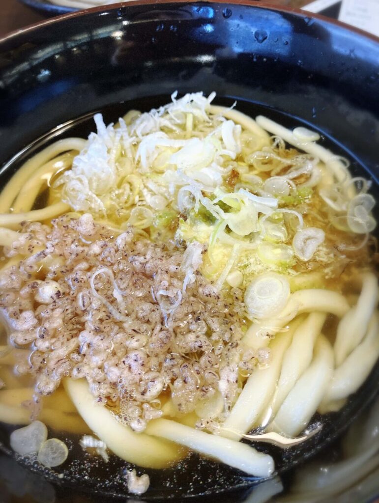 かけうどん＋薬味