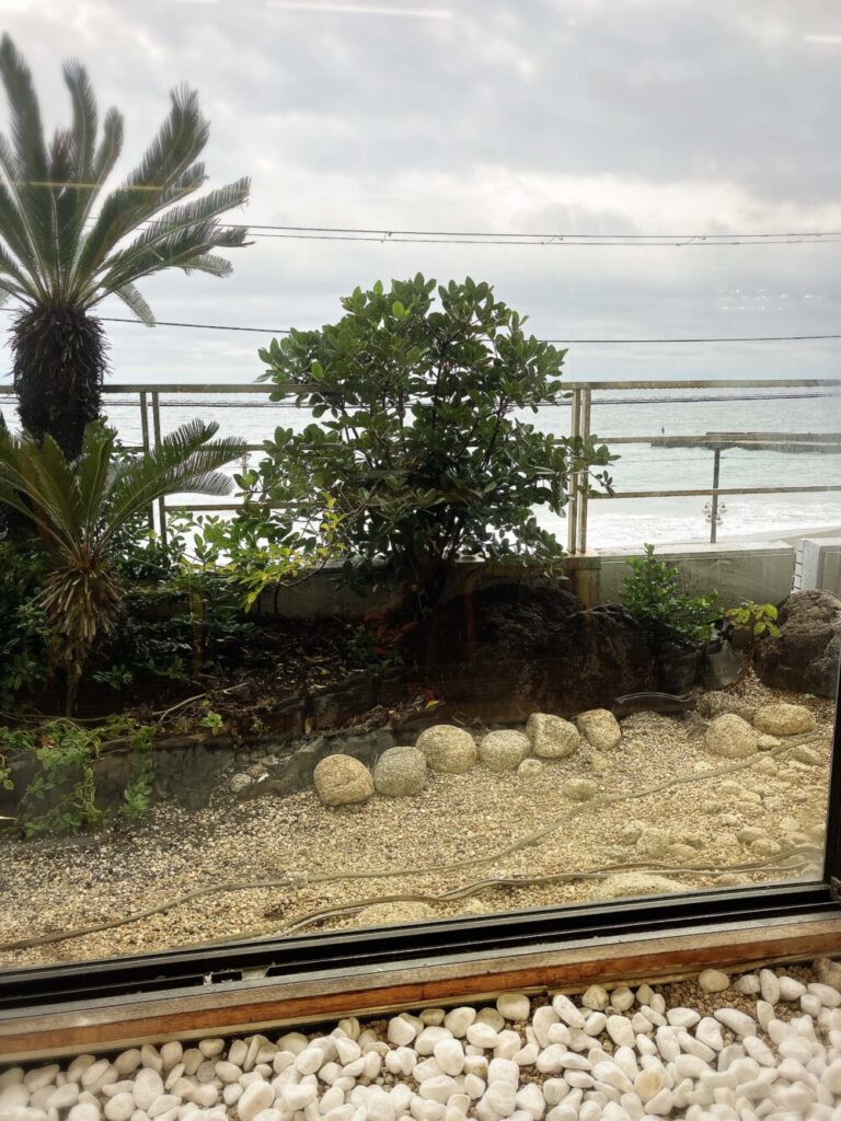 セタスロイヤル朝食会場からの景色