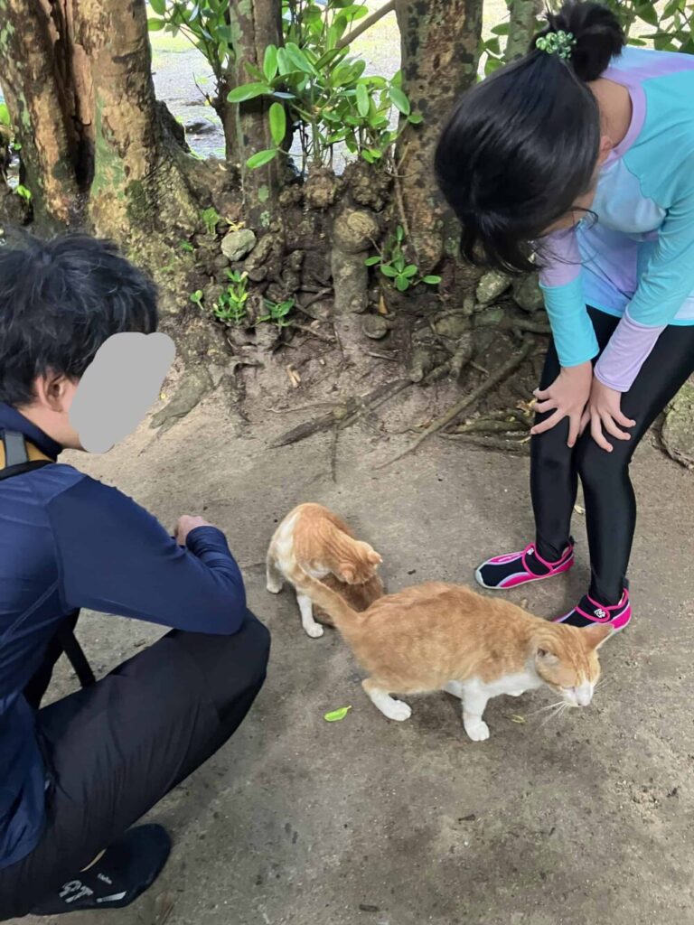フクギ並木