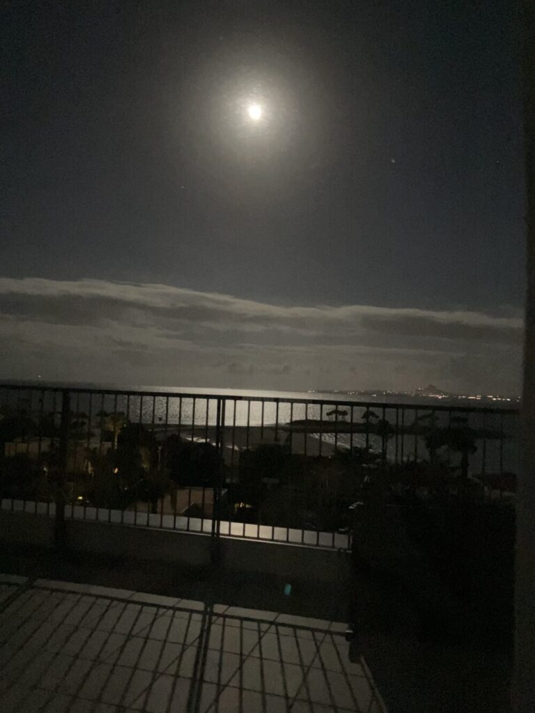 ジュニアスイートからの夜の景色